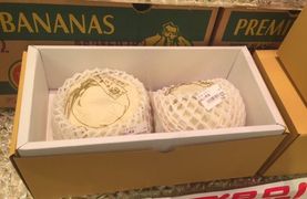 果物