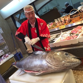 生本マグロ