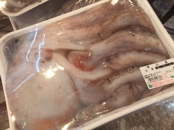 生たこ