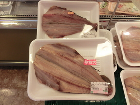 鮮魚のイチオシ！